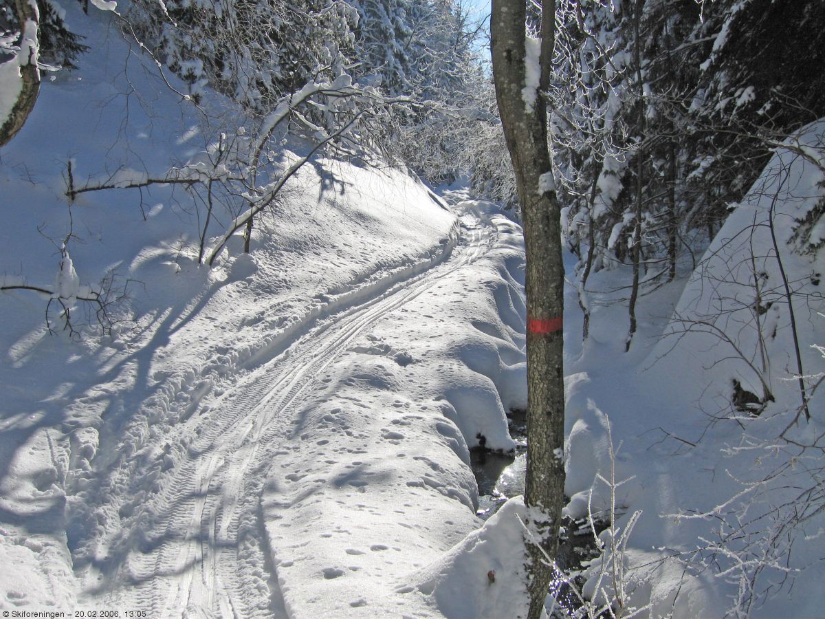 Scooterkjørt løype i Lillomarka