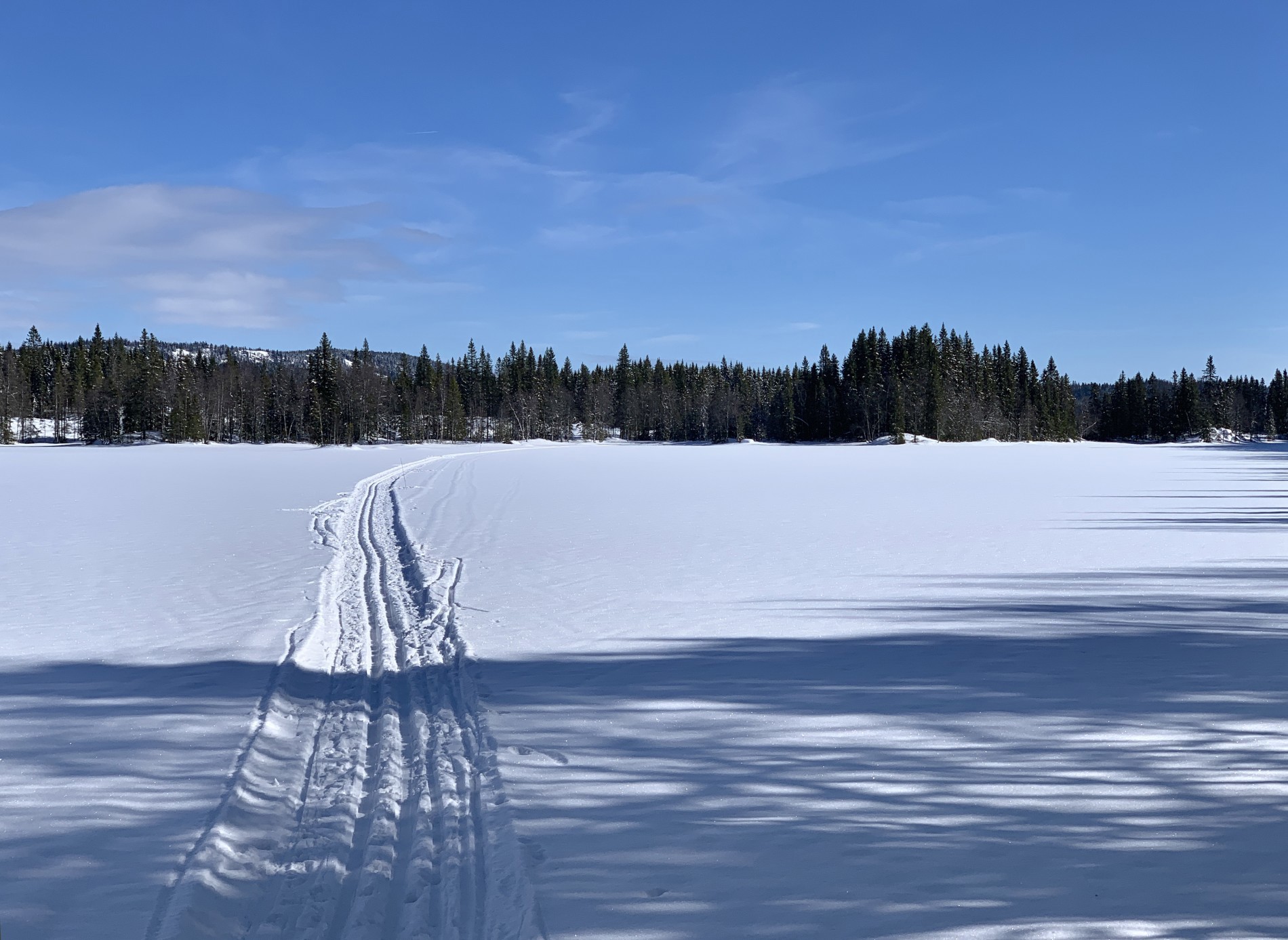 Scooterløypa snor seg over Svarten