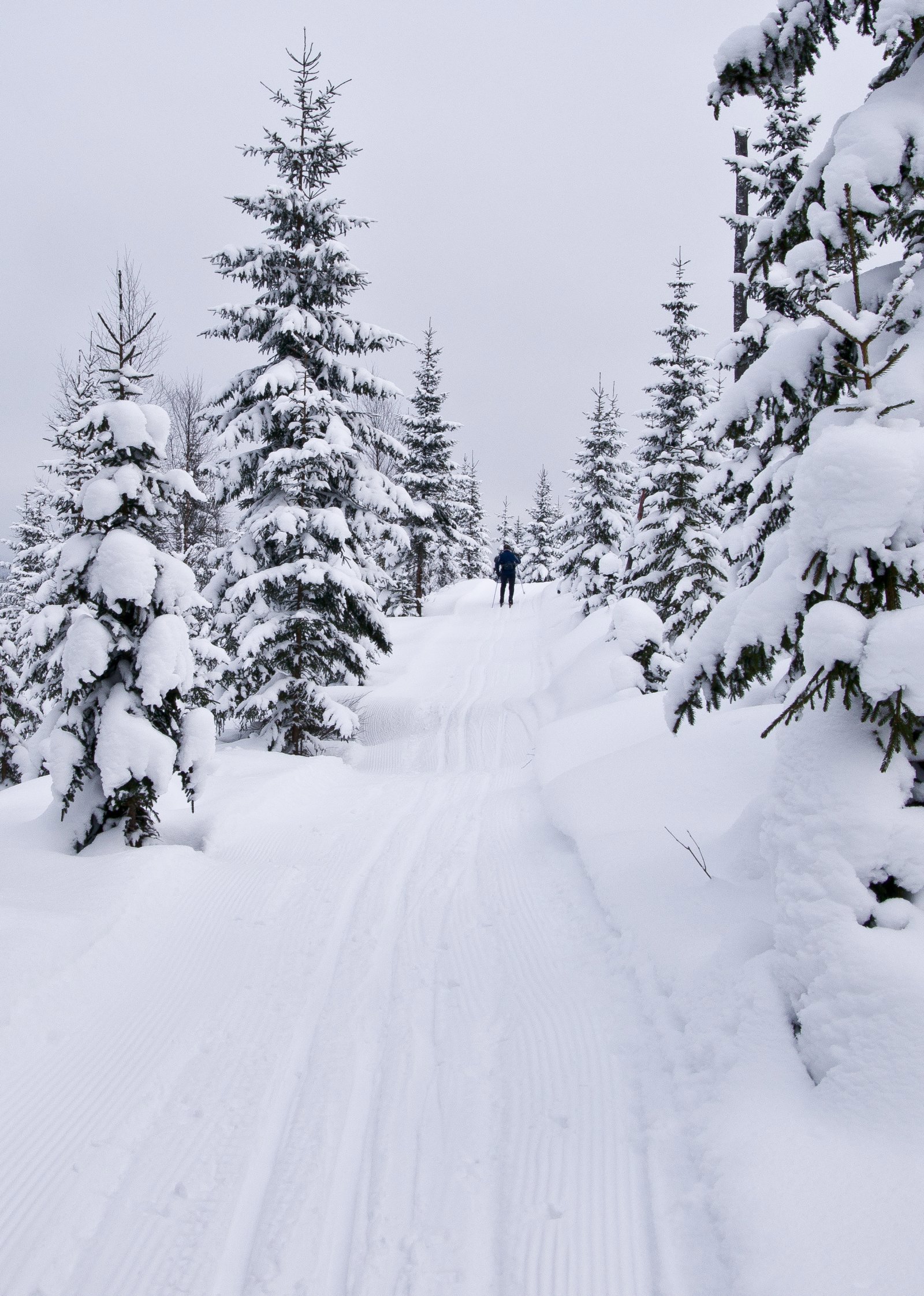 Scooterløype langt vest