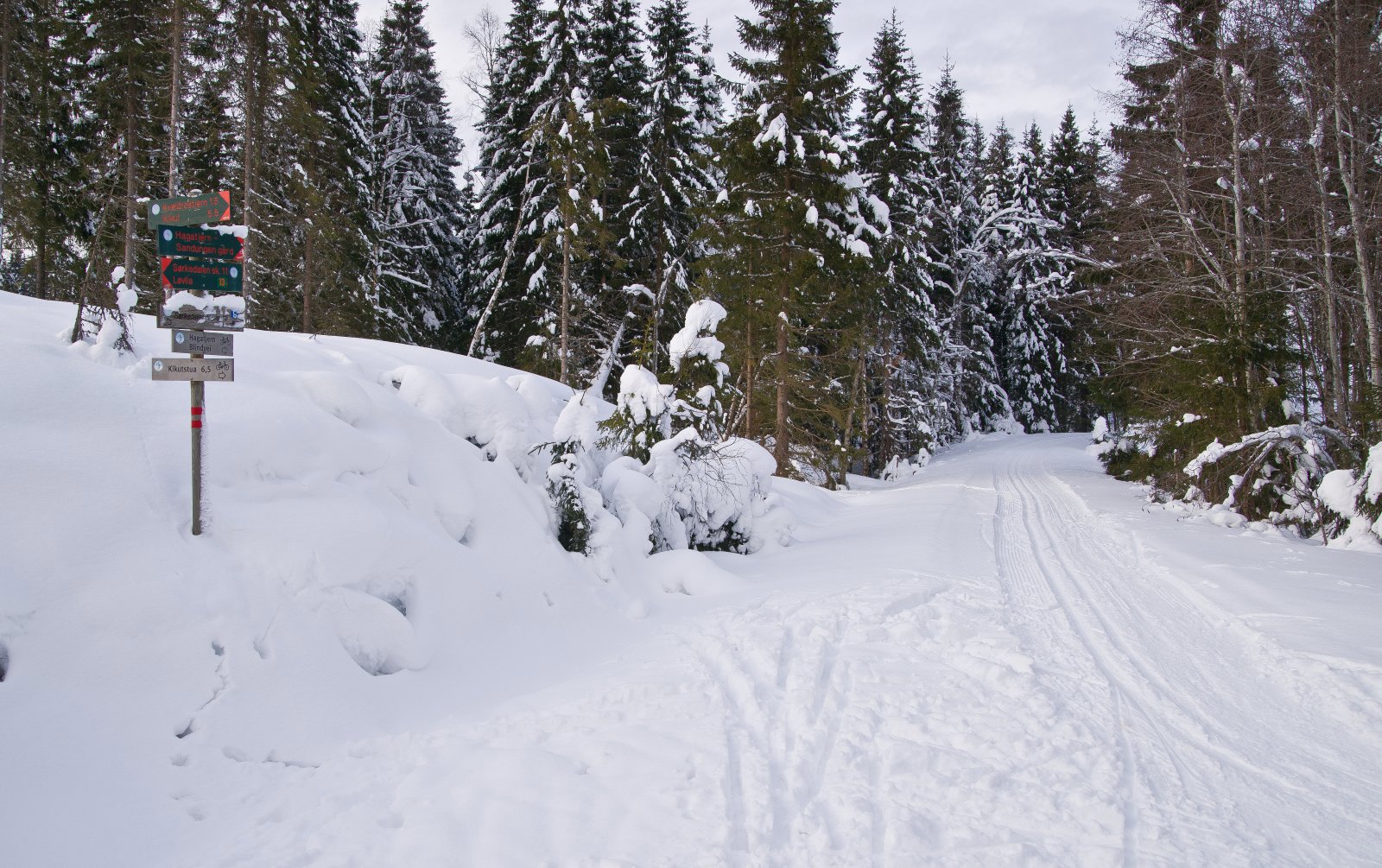 Scooterløype møter Grenadertraseen