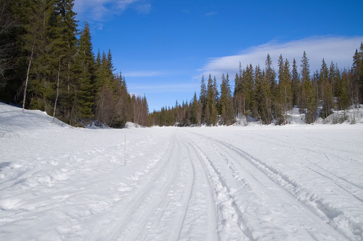 Scooterløype over Spålen
