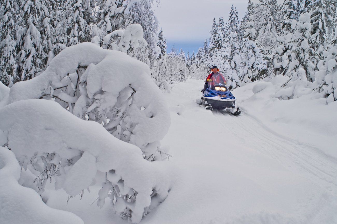 Scooterprepp i Dammyrdalen