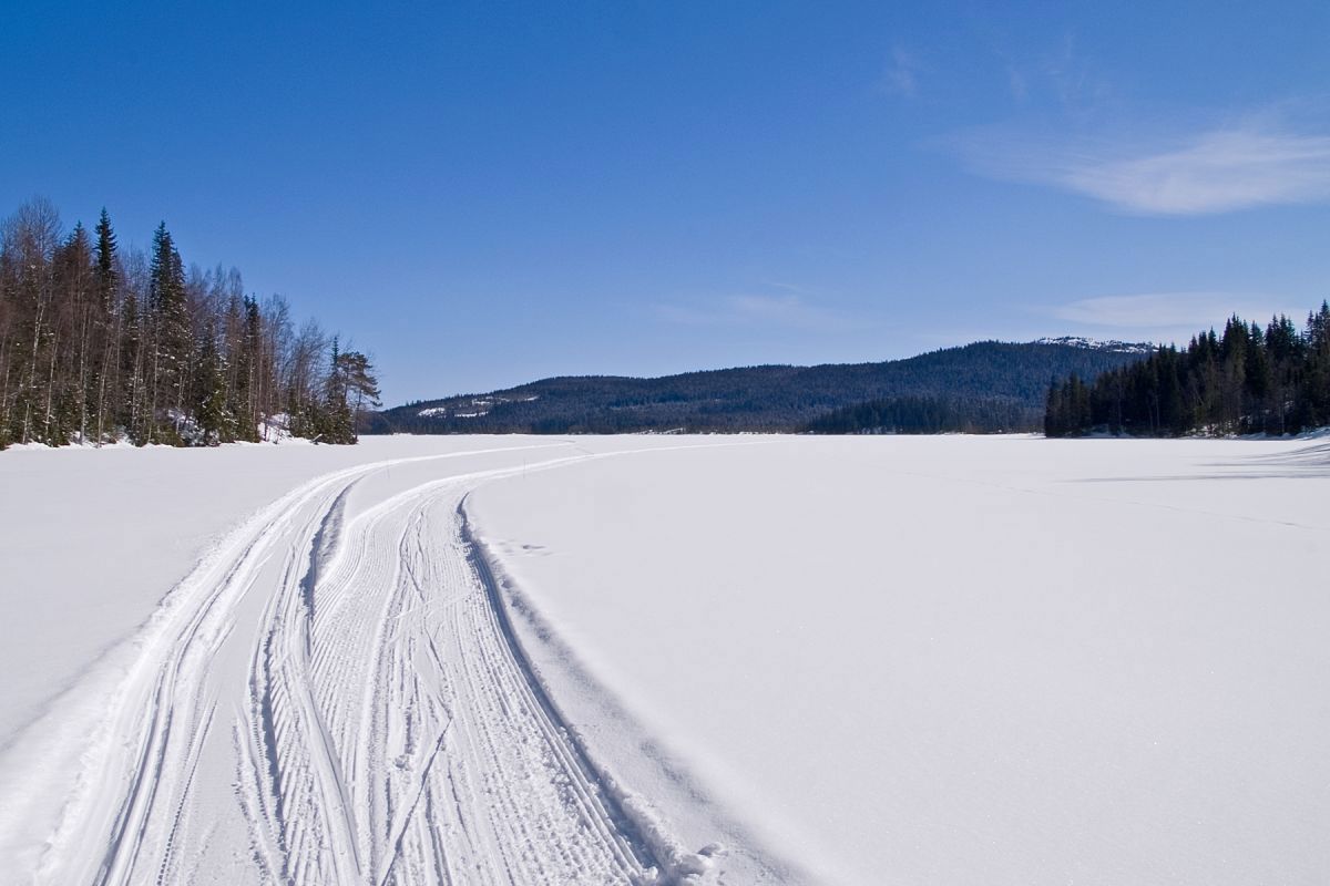 Scootersporet deler seg