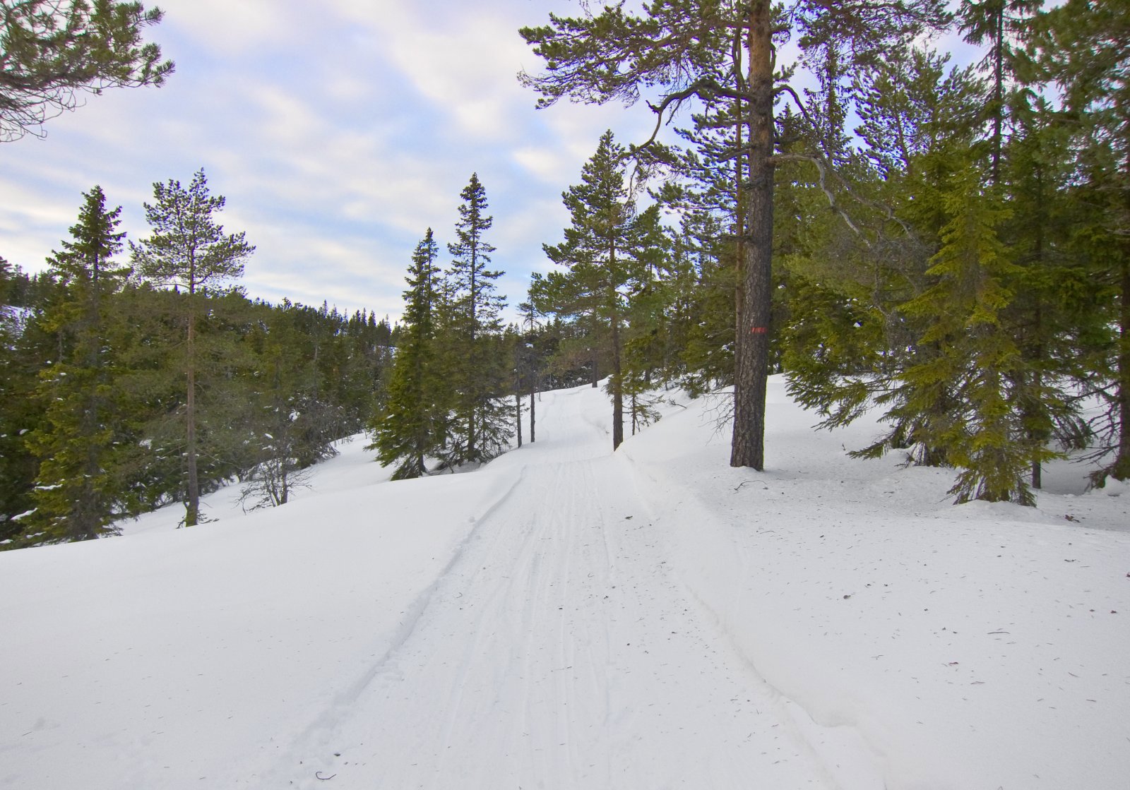 Scootertraseen mot Gyrihaugen