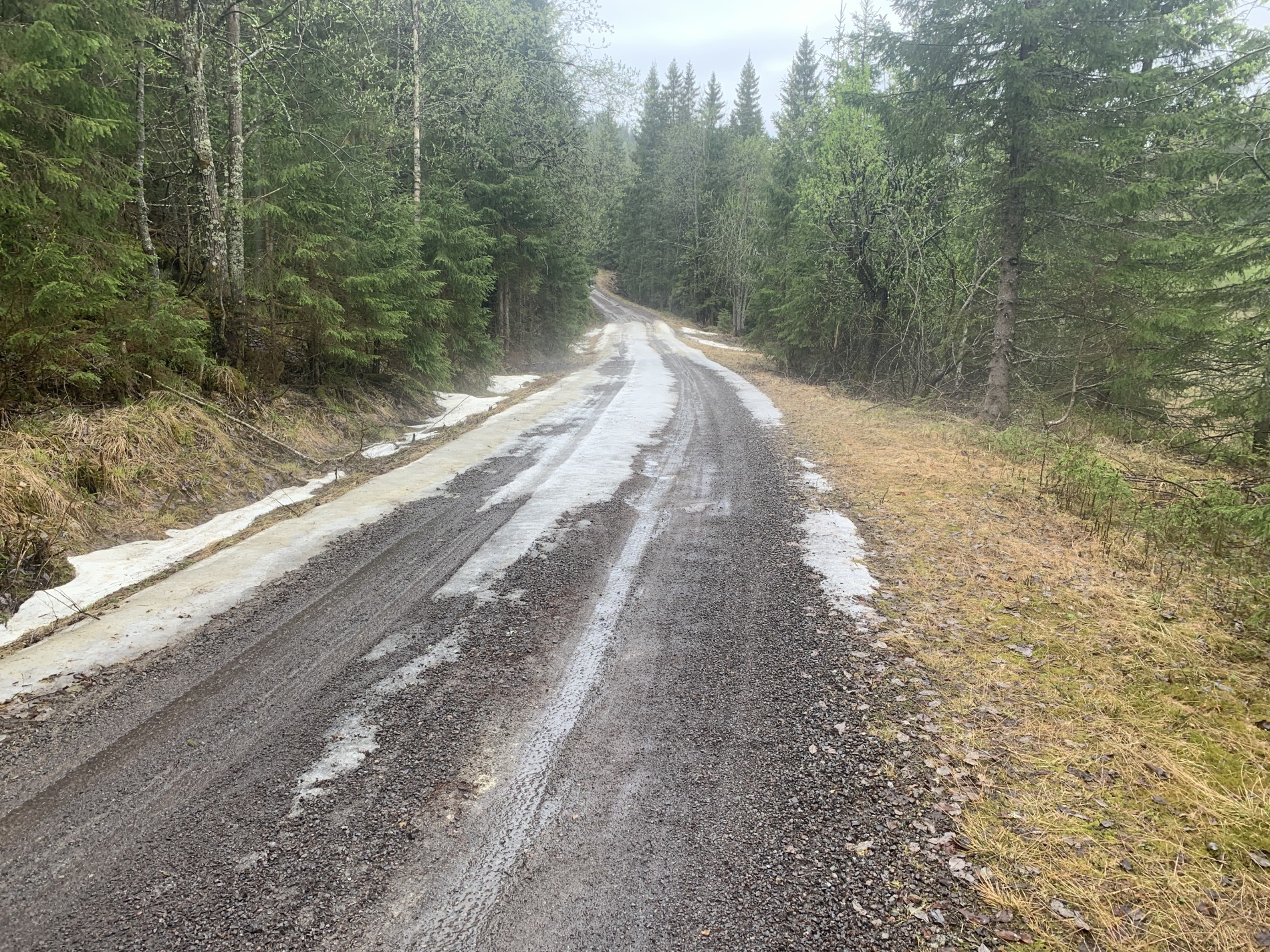 Sein vår i høyden ved Helgeren
