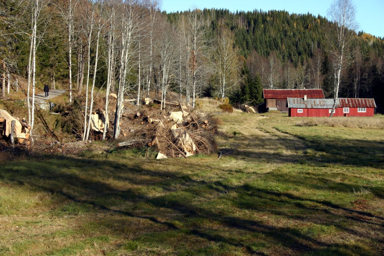 Senhøst ved Slora