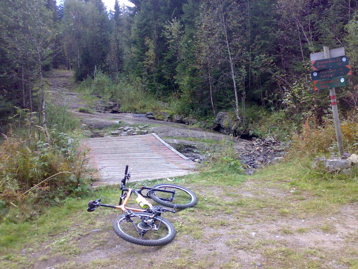 Sentralt løype og sykkelrutekryss