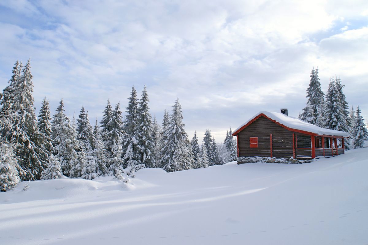 Seter høyt til fjells