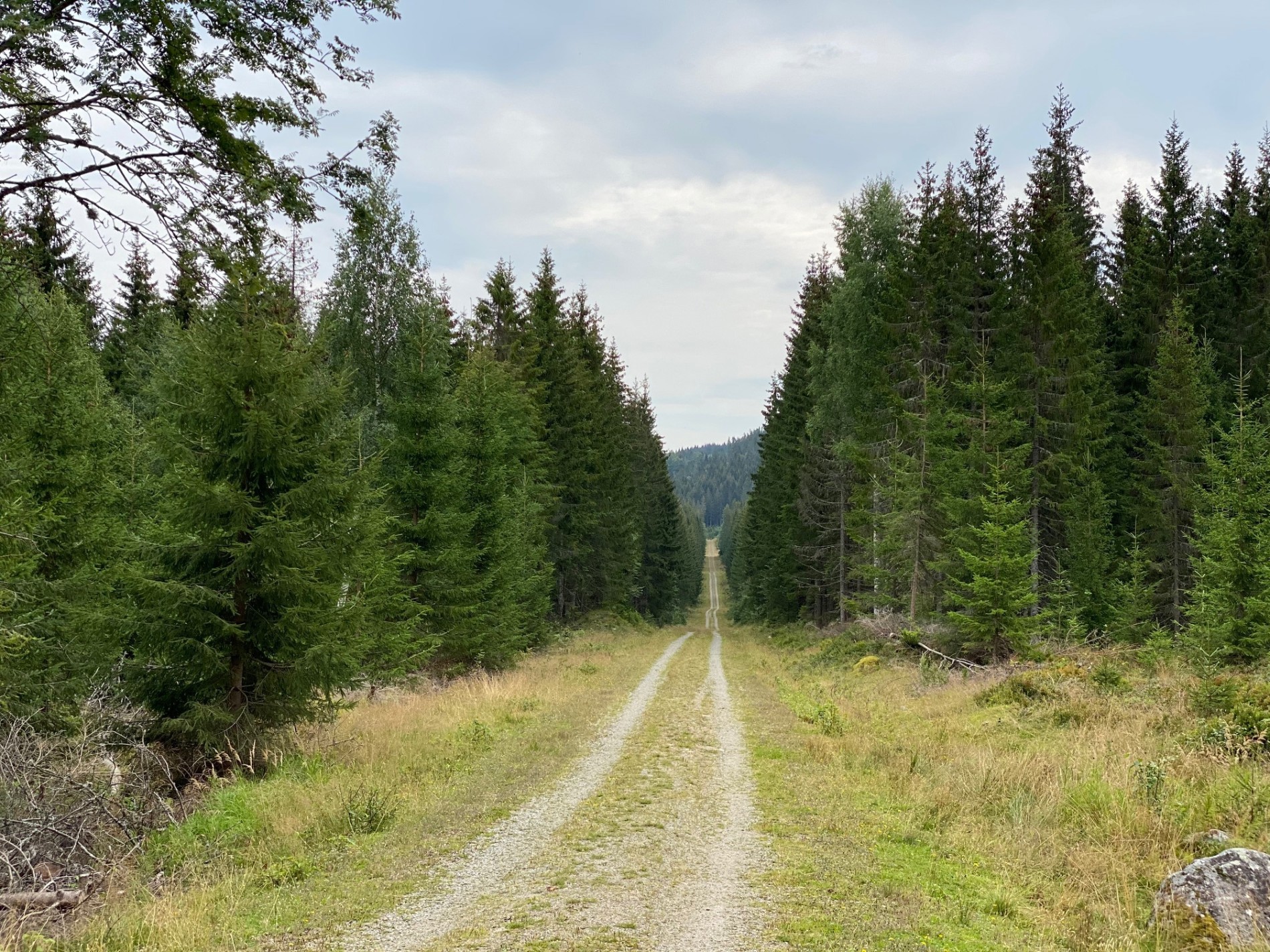 Seterløkkenveien er snorrett