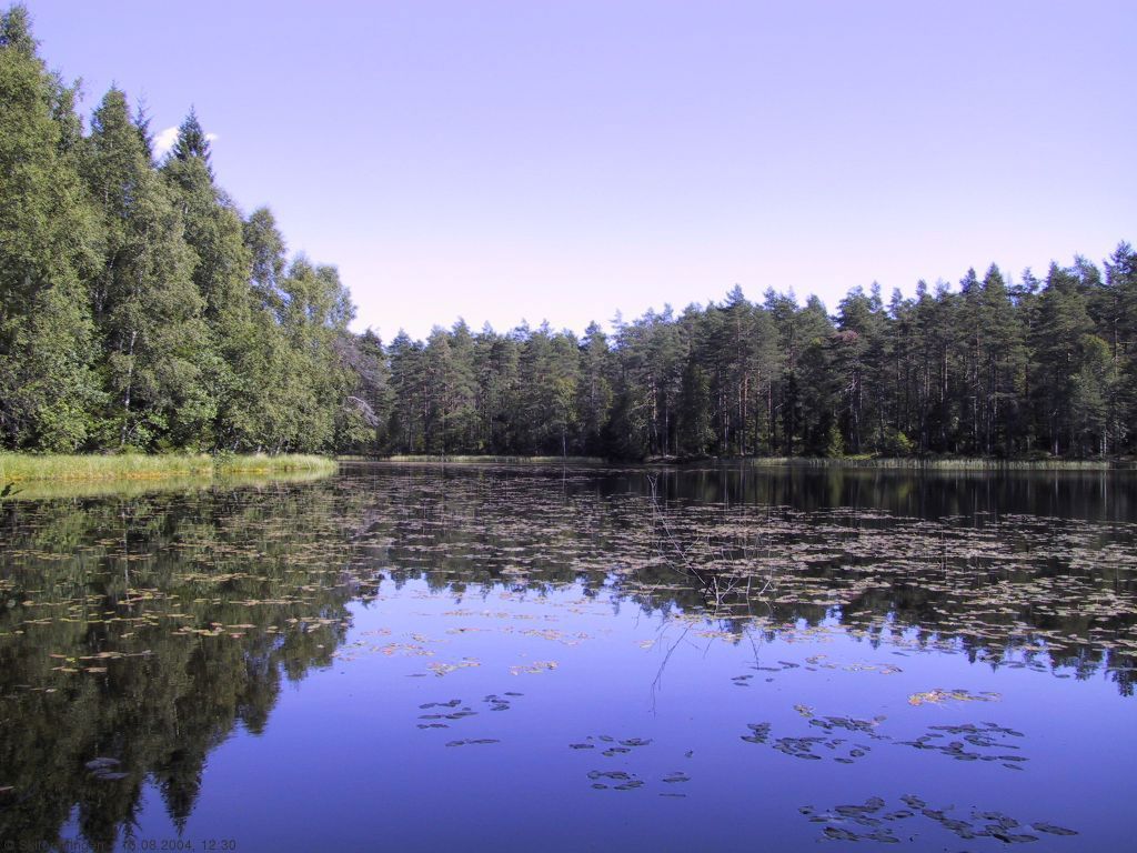 Setertjern - hvile for øyet