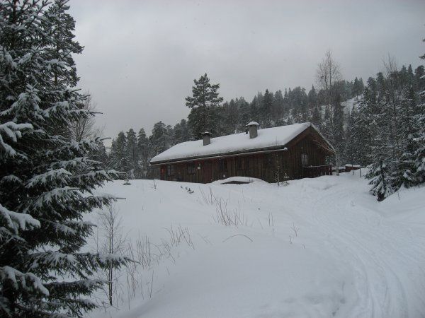 Setertjernstua