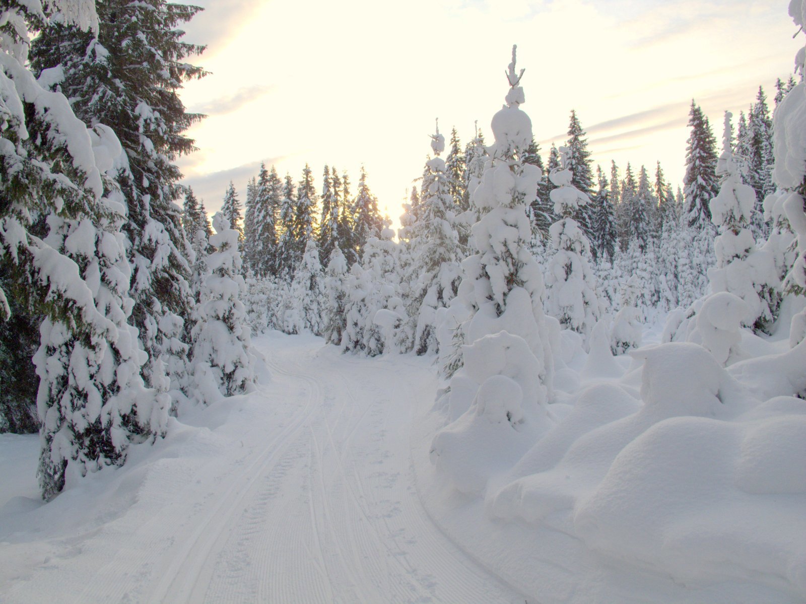 Silkeføre og julestemning