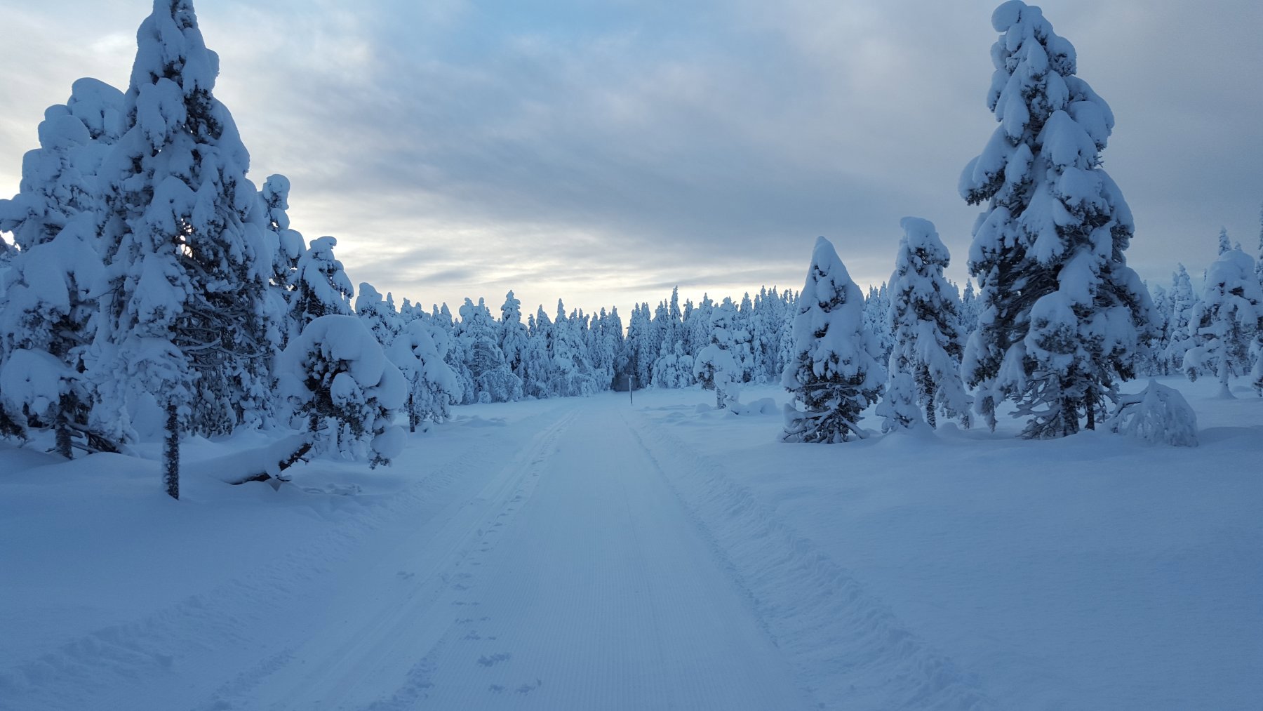 Silkeføre over Abboråsen