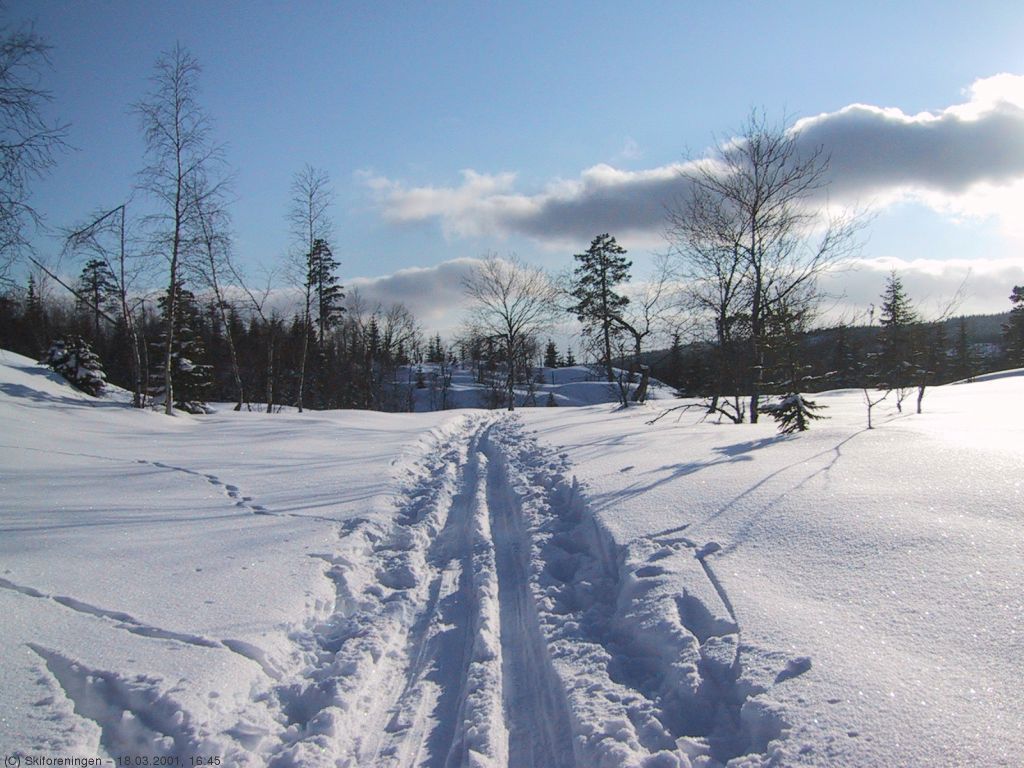 Silkeføre over Daltjuvmana