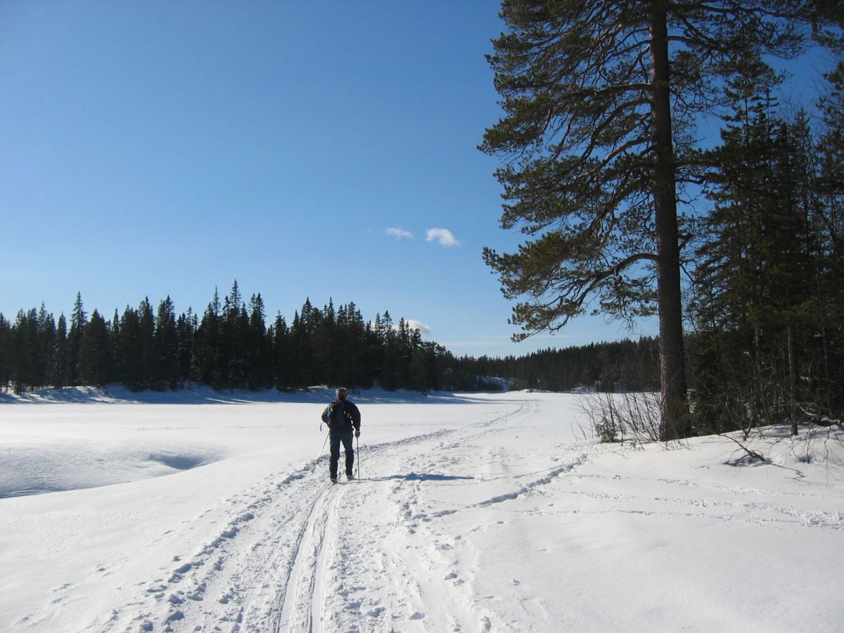 Silkeføre over Nibbitjern