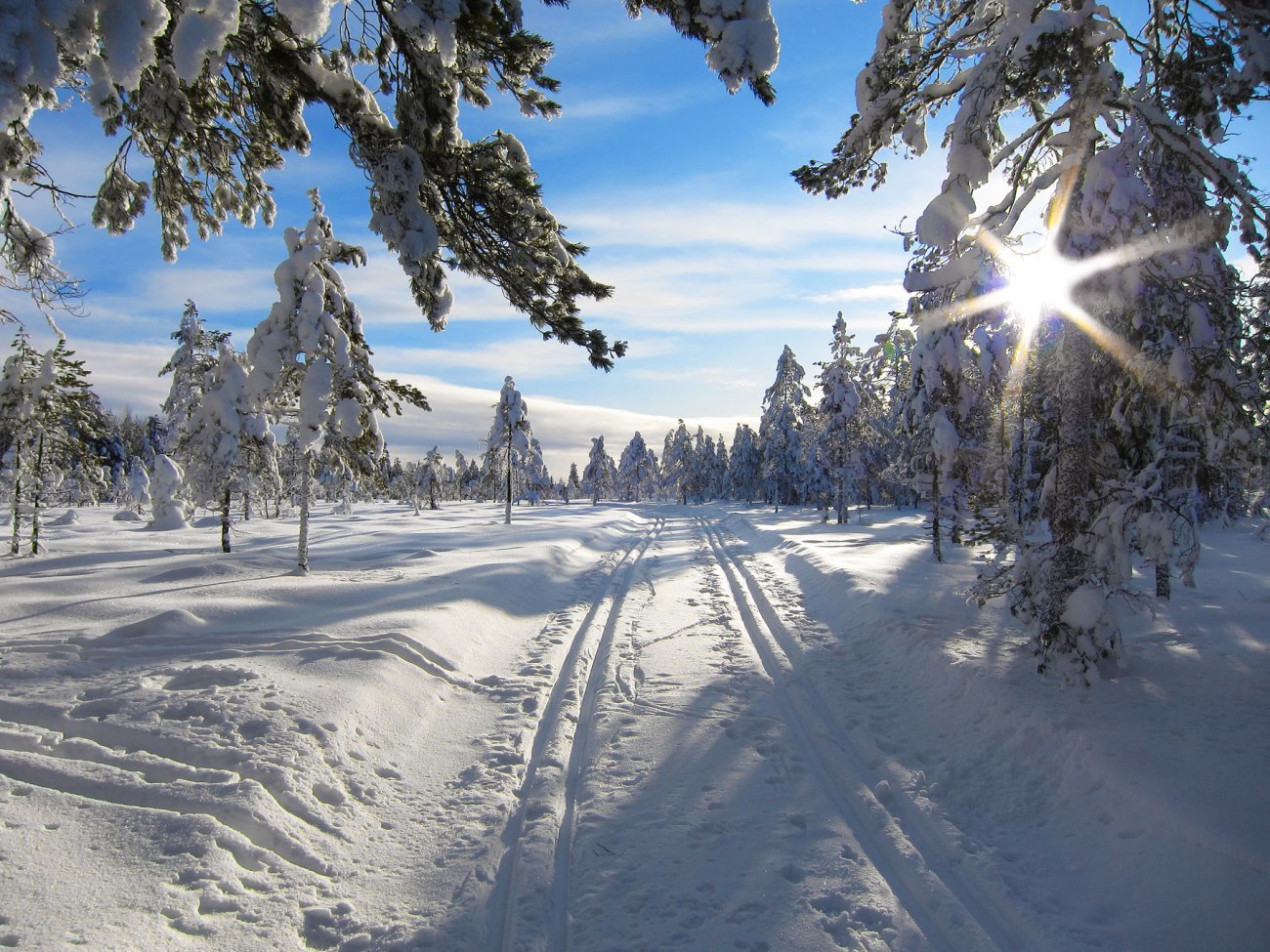 Silkeføre på Jordmyrane