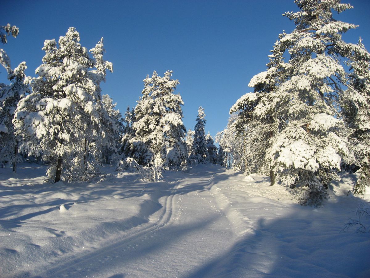 Silkeføre på Lauvliflaka