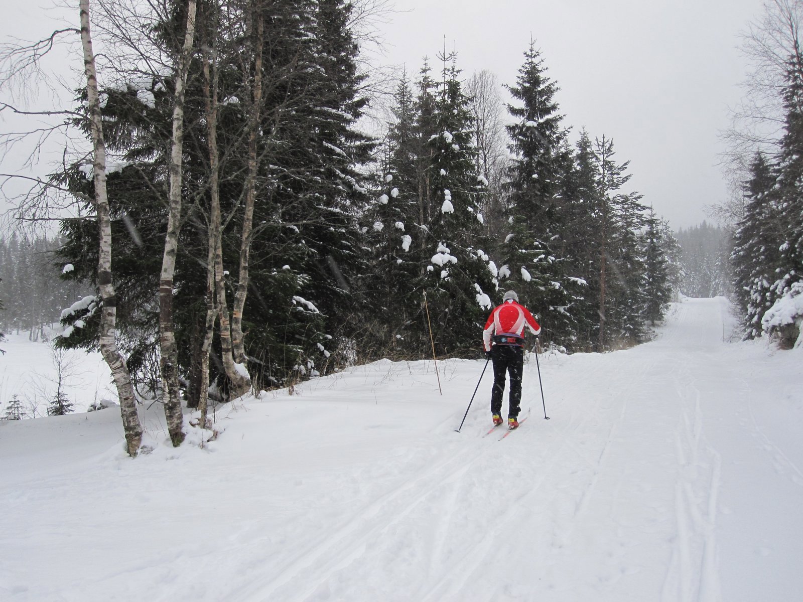 Silkeføre ved Finntjern