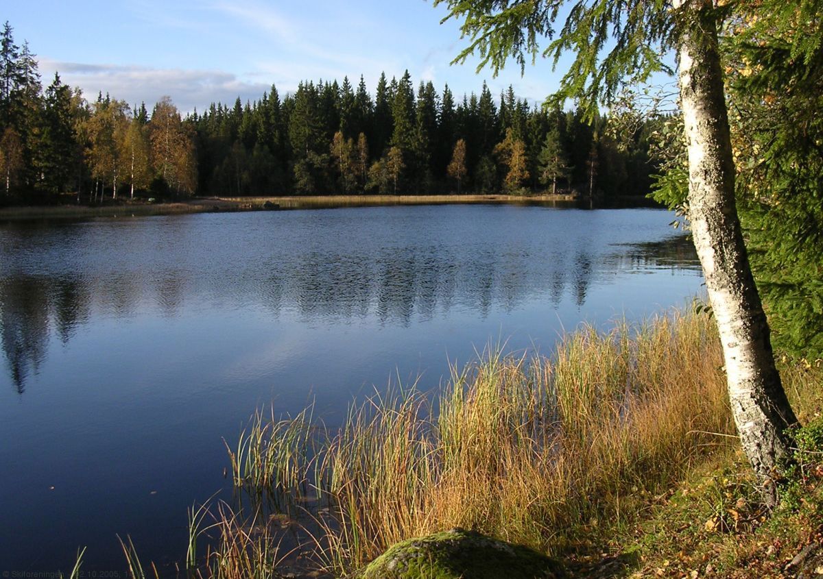 Siste rest av sommer ved Retthelltjern