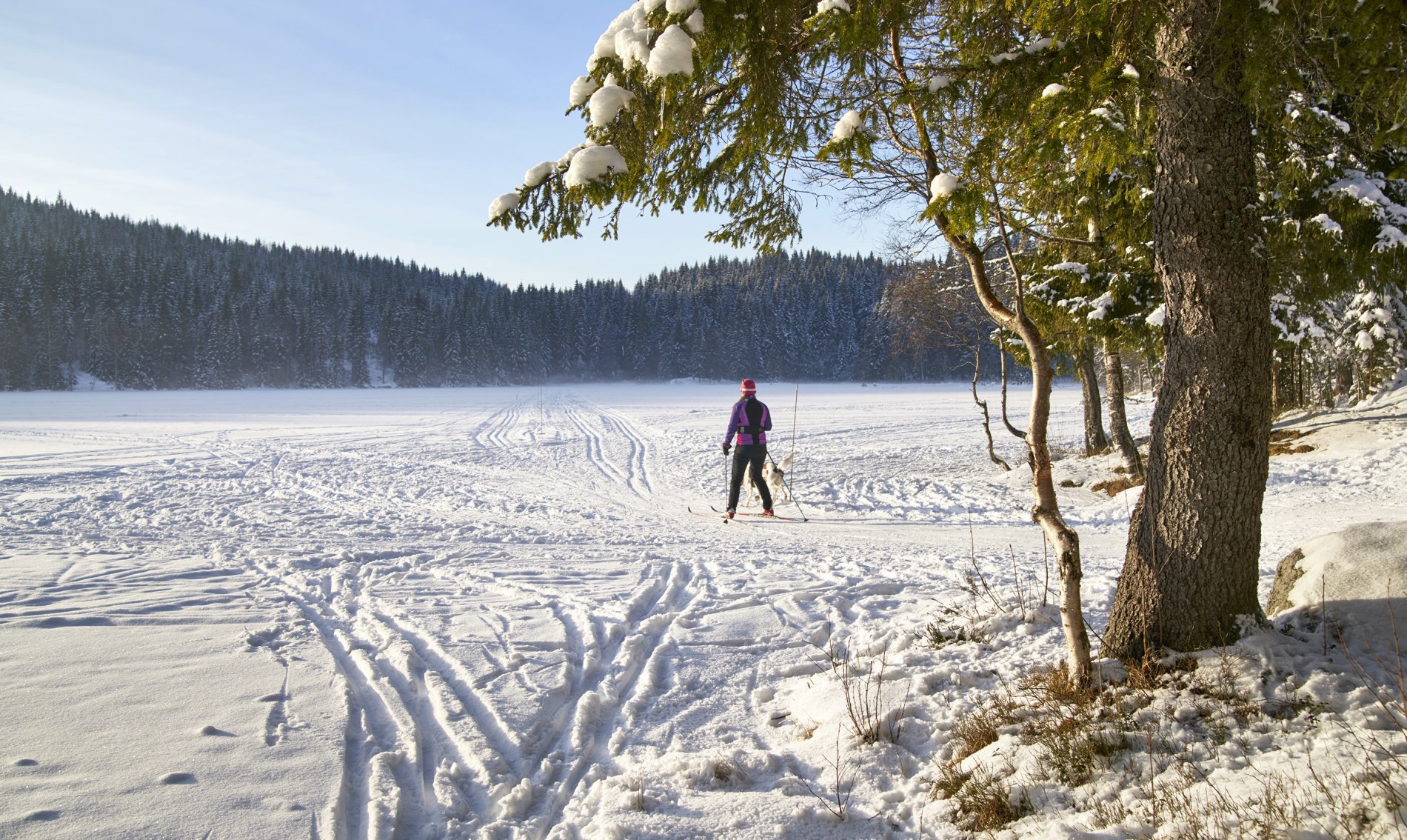 Siste solstreif på Abborvann