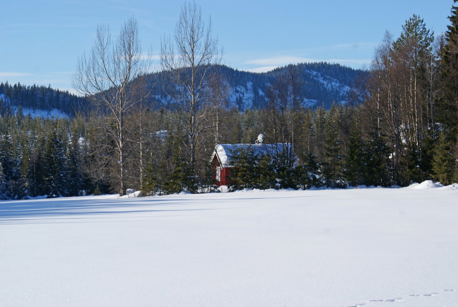 Sjosætra og Hvalebykampen