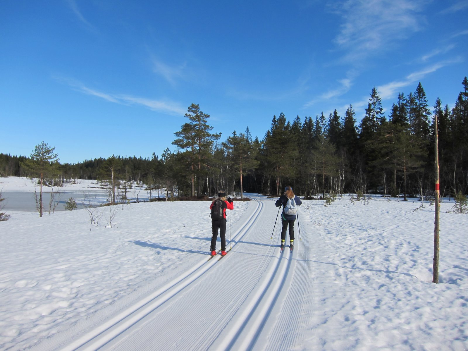 Skarpt føre, men fortsatt fine forhold over Frønsvollmyrene