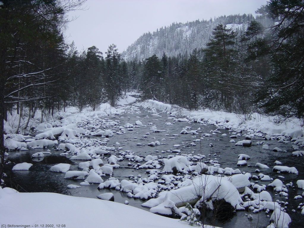 Skarselva i lett snødrev