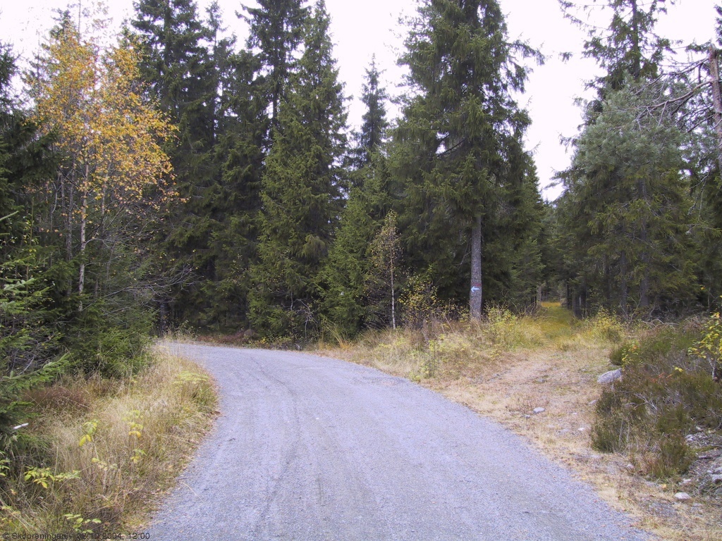 Ski- og sykkeltrase skiller lag