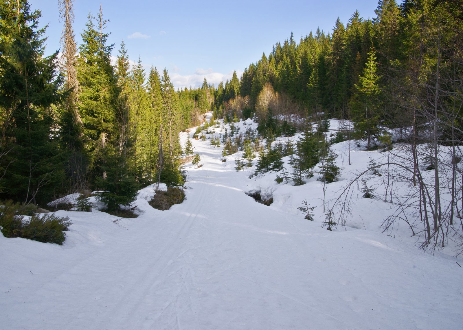 Skiføre fra Damtjern