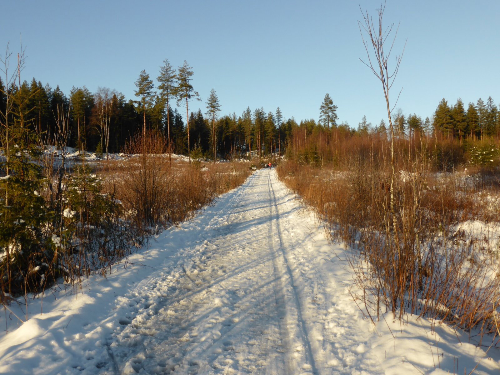 Skiføre fra Østernvannsvingen