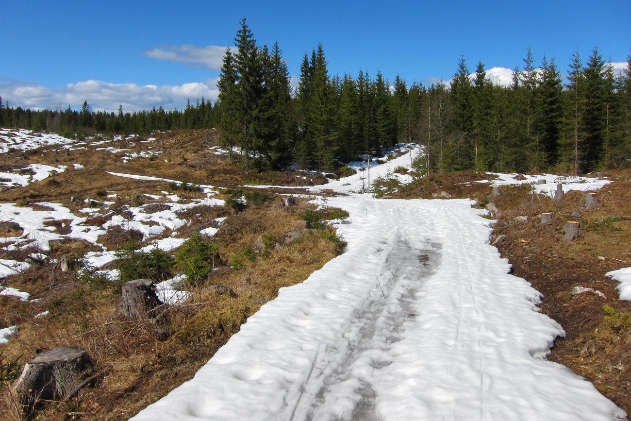 Skiføre - men bare så vidt