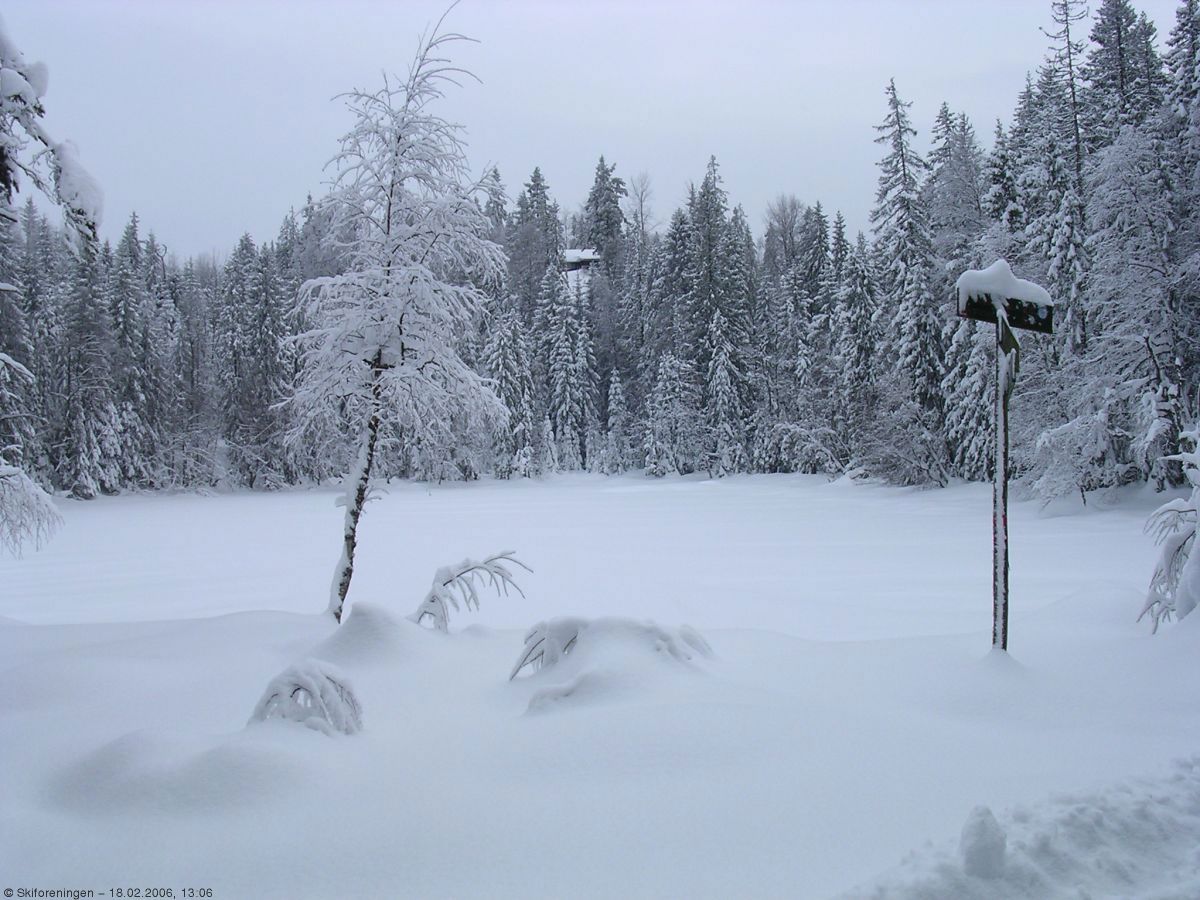 Skikkelig vinter ved Fiskelaustjern