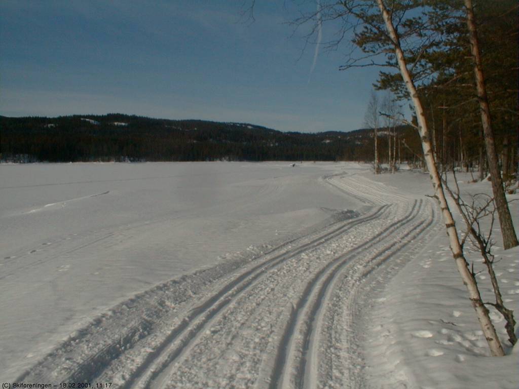 Skillingen i strålende solskinn