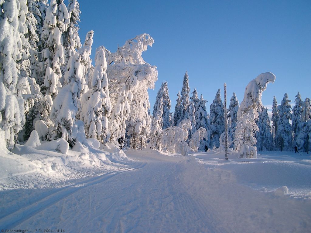 Skiløypa over Setertjern
