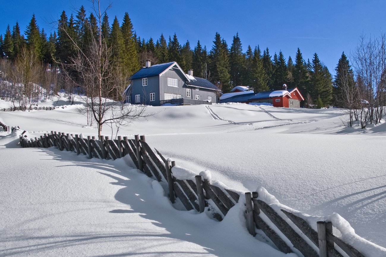 Skinnende vakkert på Holoaseter
