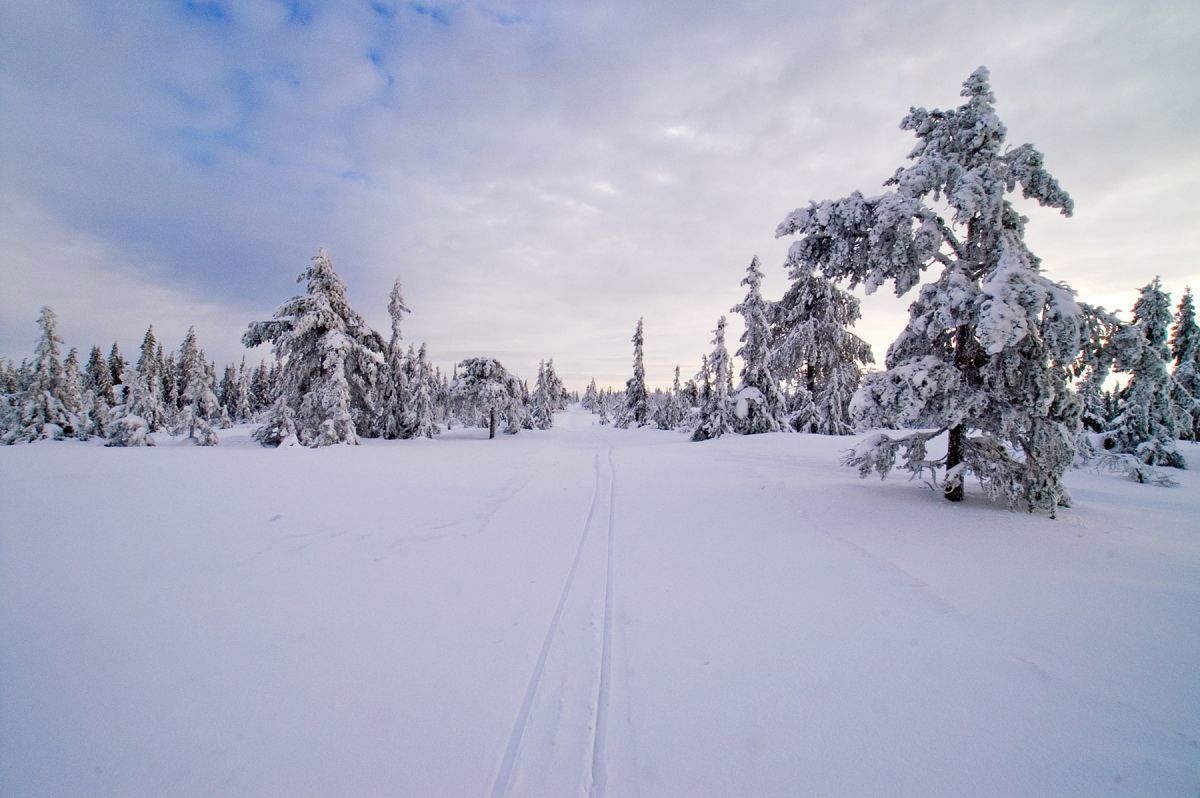 Skispor inn i eventyret