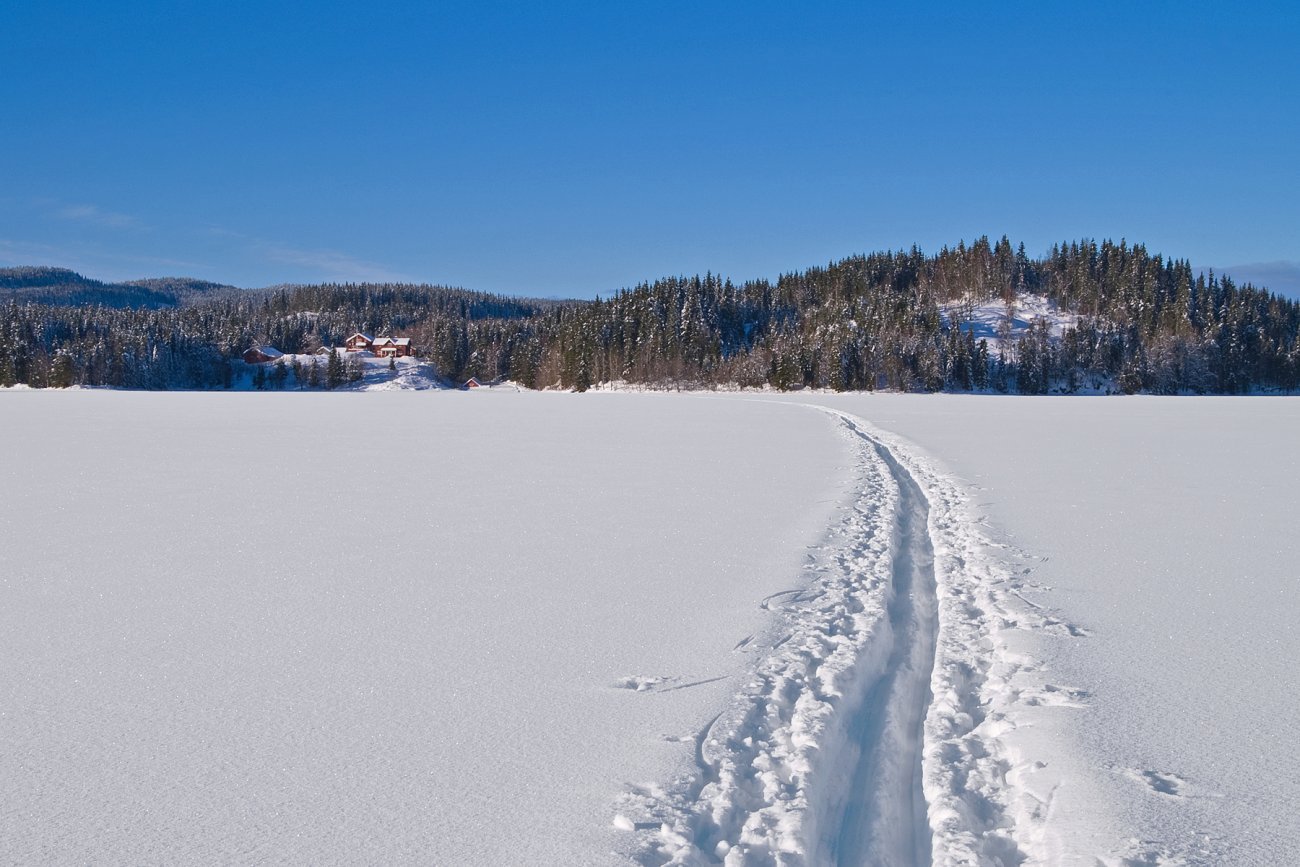 Skispor mot Vestre Hakkloa