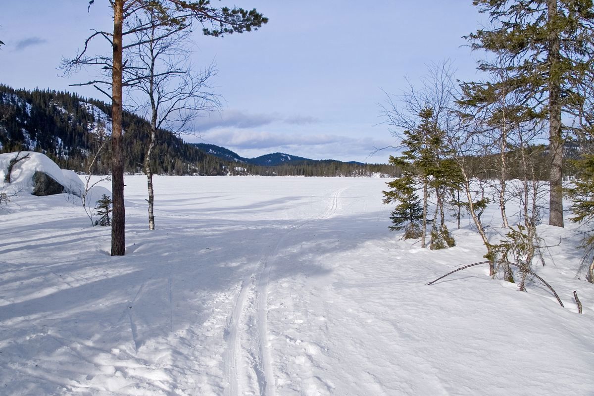 Skispor ut på Skarvvann