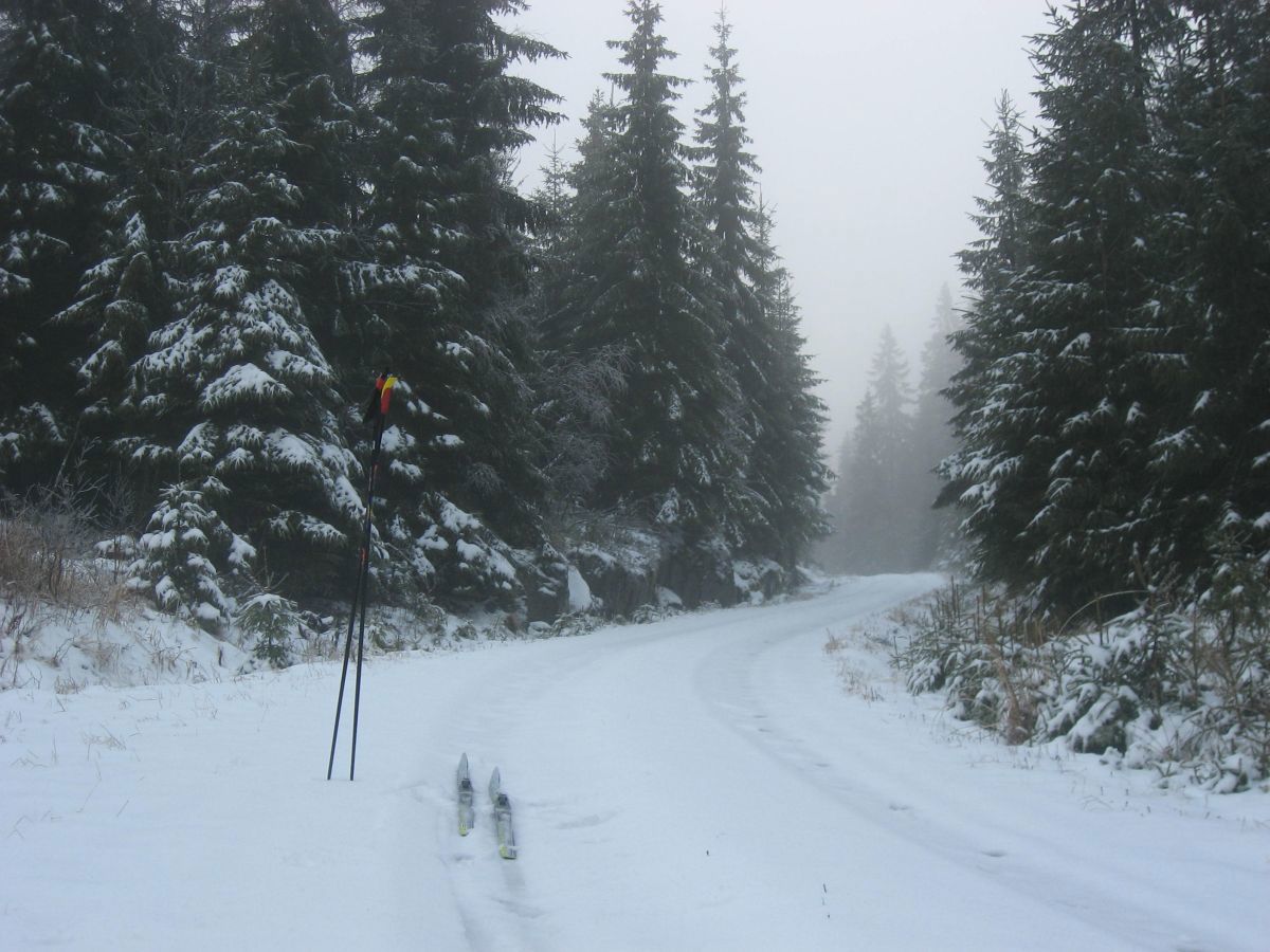 Skitur på Bjørnebergveien