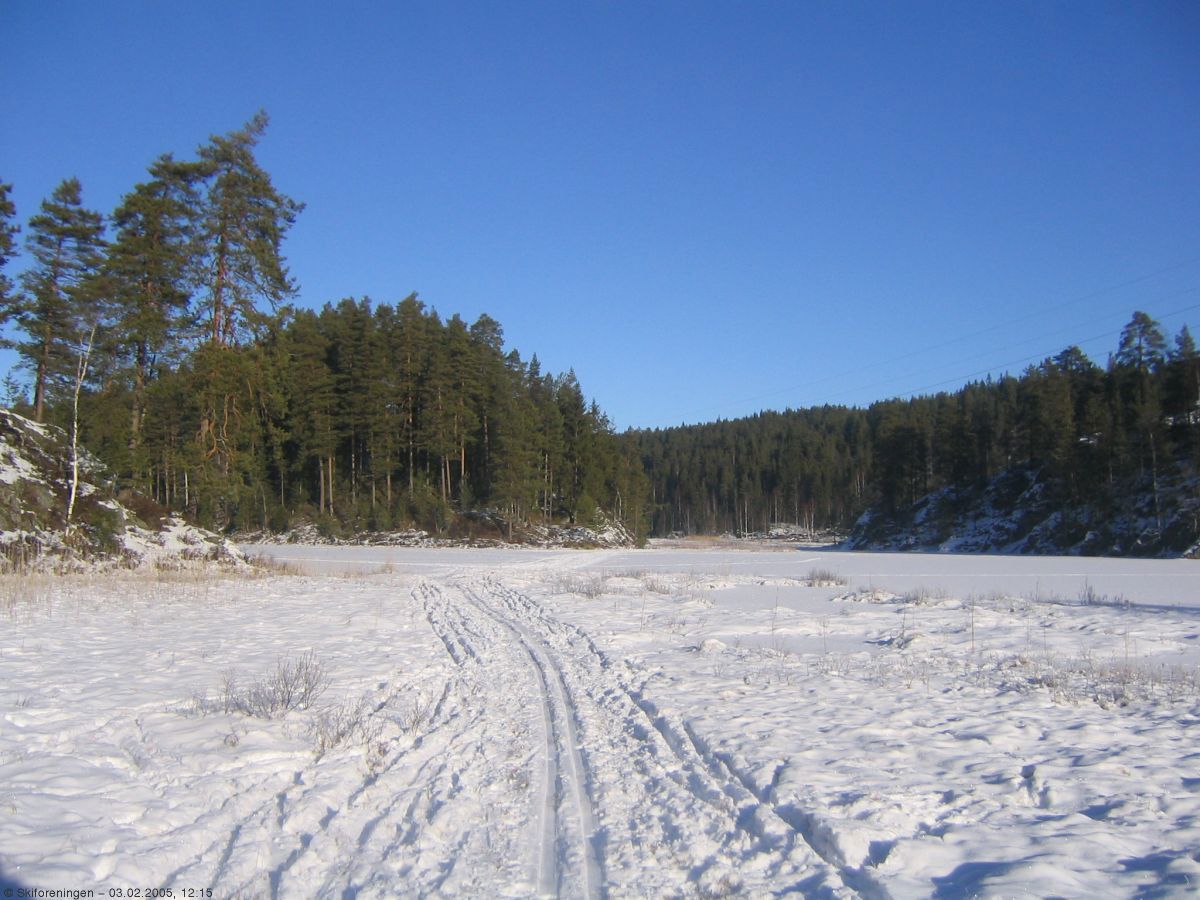 Skjelbreiavann