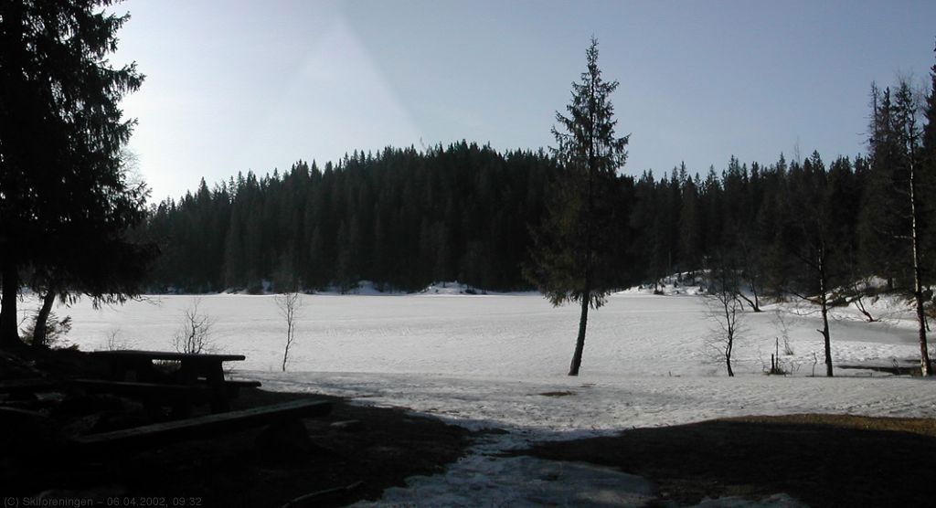 Skjennungen i morgenlys