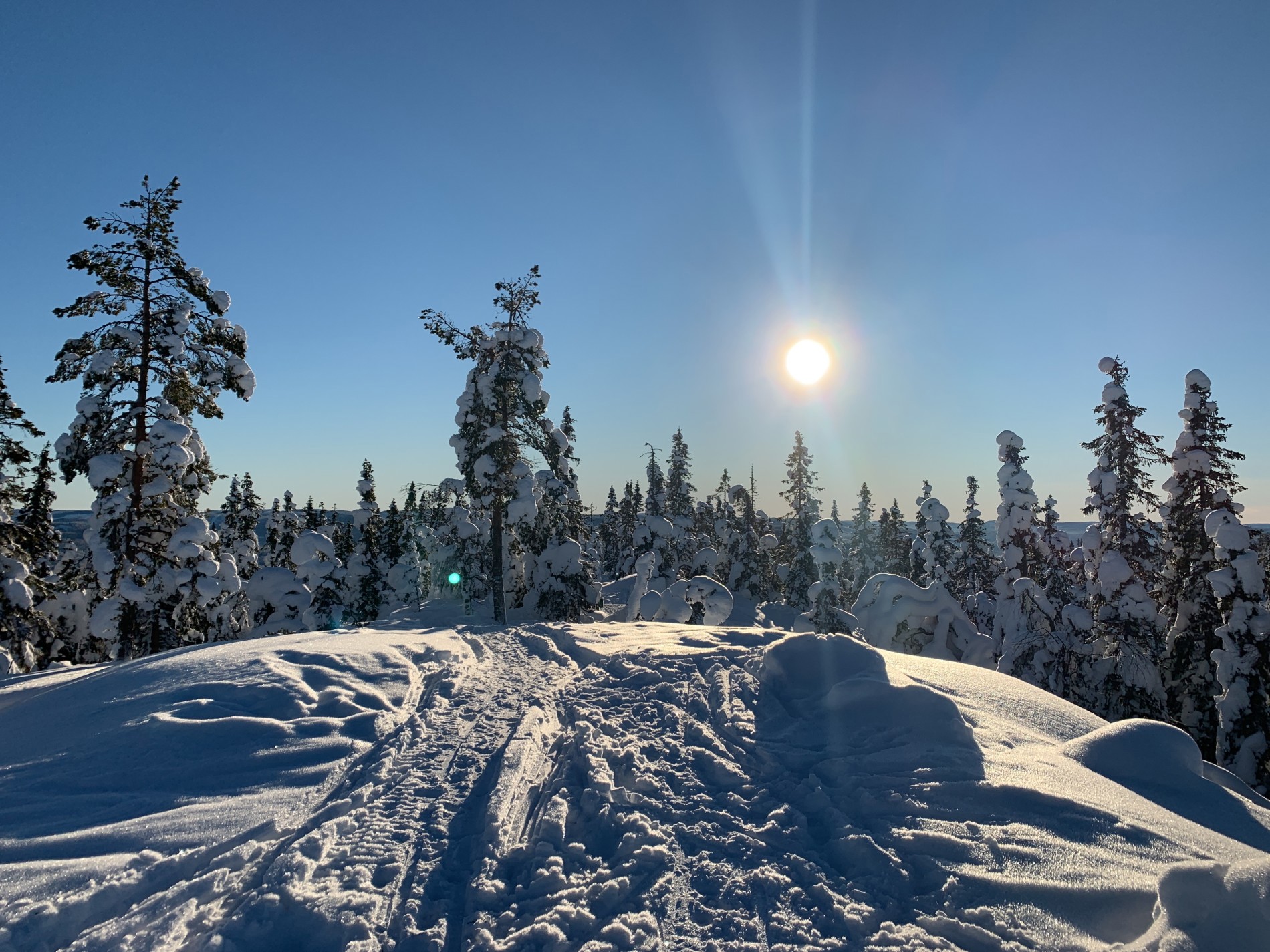 Skjerveknatten i vintersol