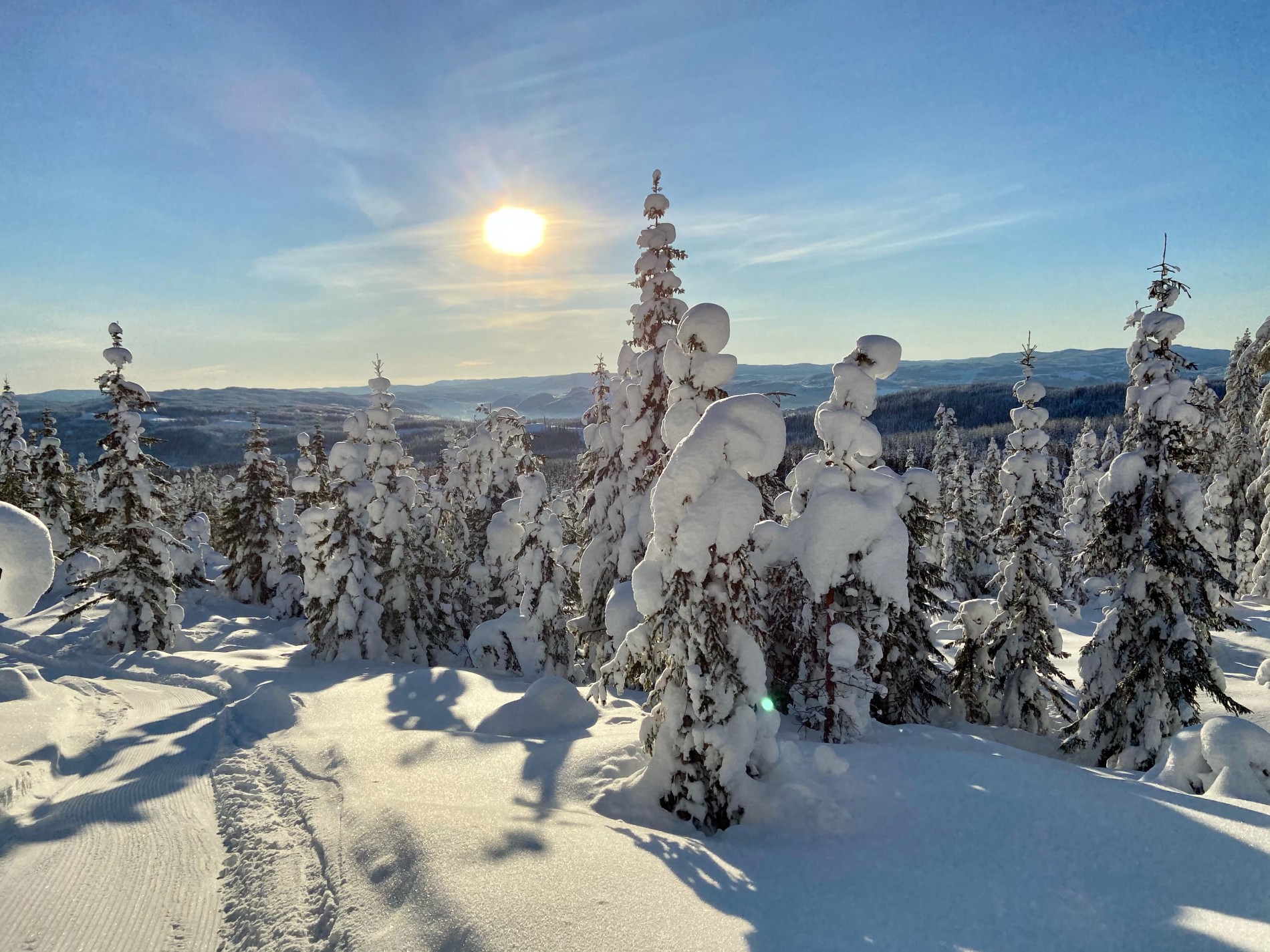 Skjerveknatten: utsikt sørover