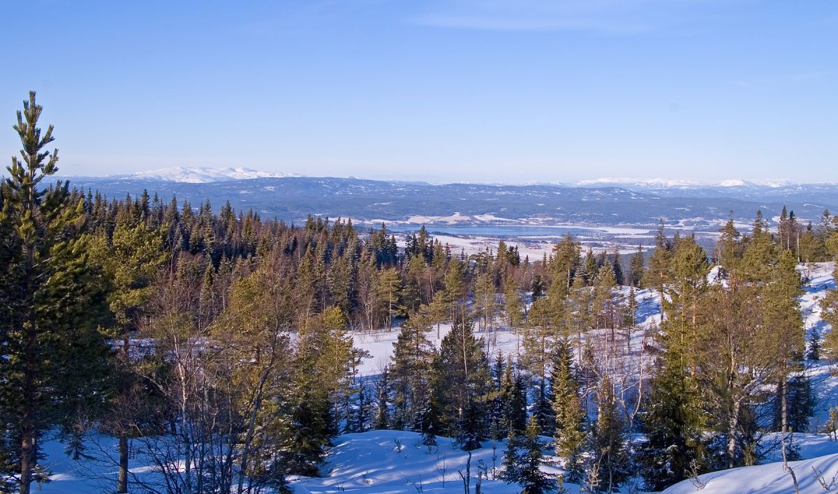 Skog-, fjord- og fjellutsikt fra Krokskogens vestligste skiløype