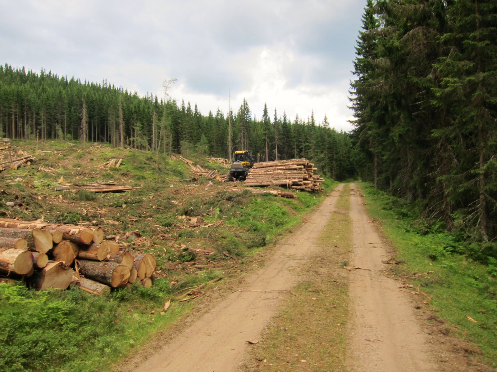 Skogsarbeid ved Syslemyr