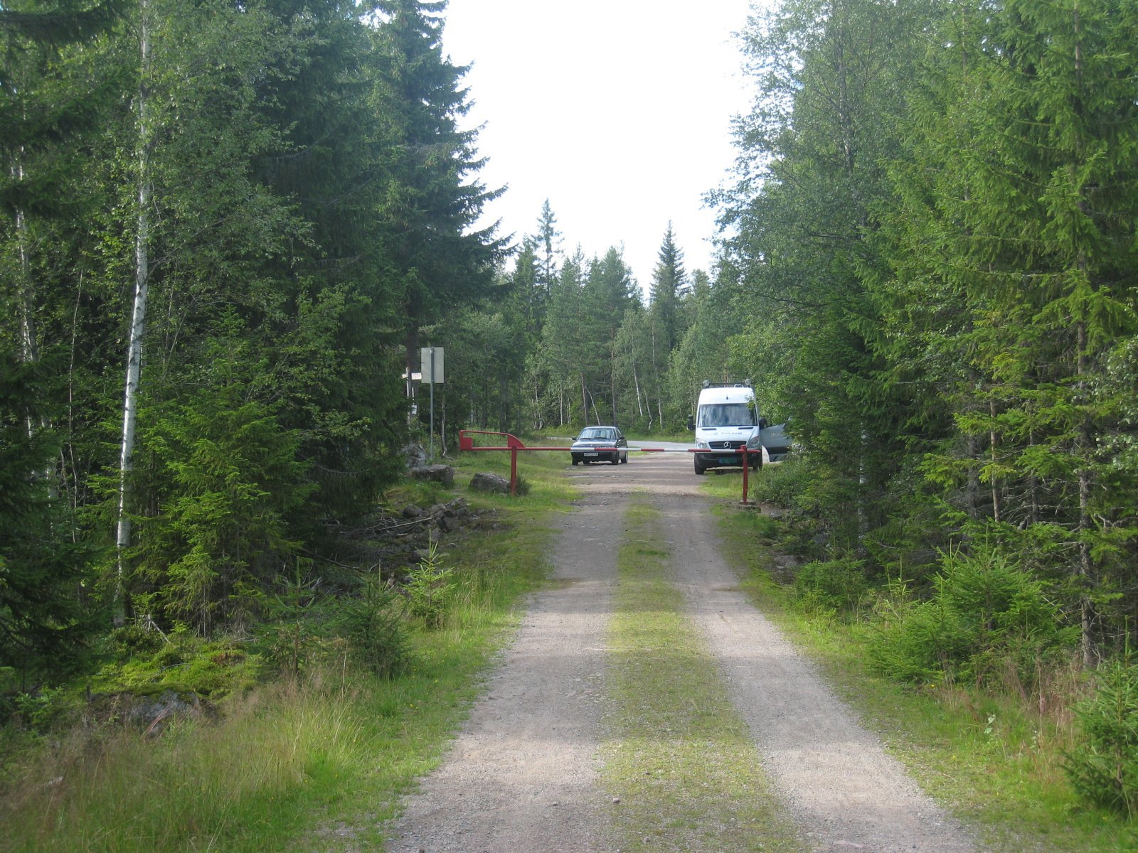 Skogsveg møter asfalt