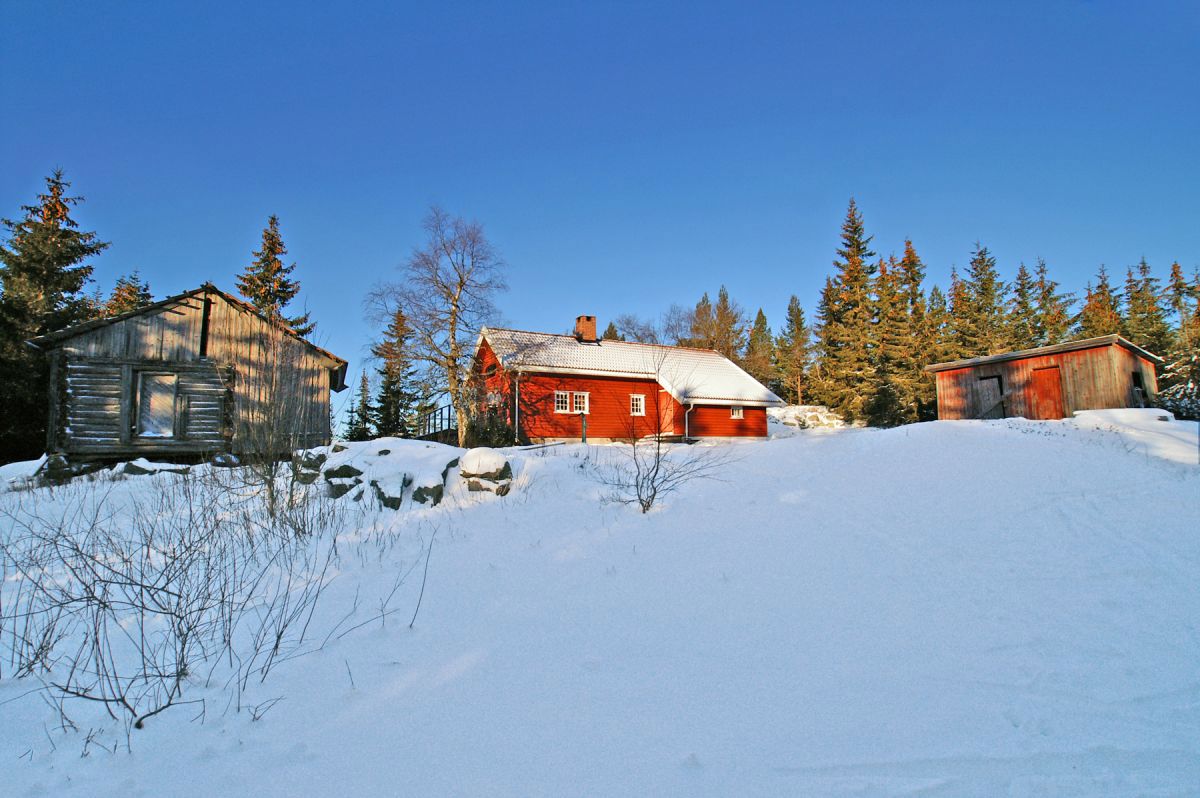 Skyfritt over Borgersetra