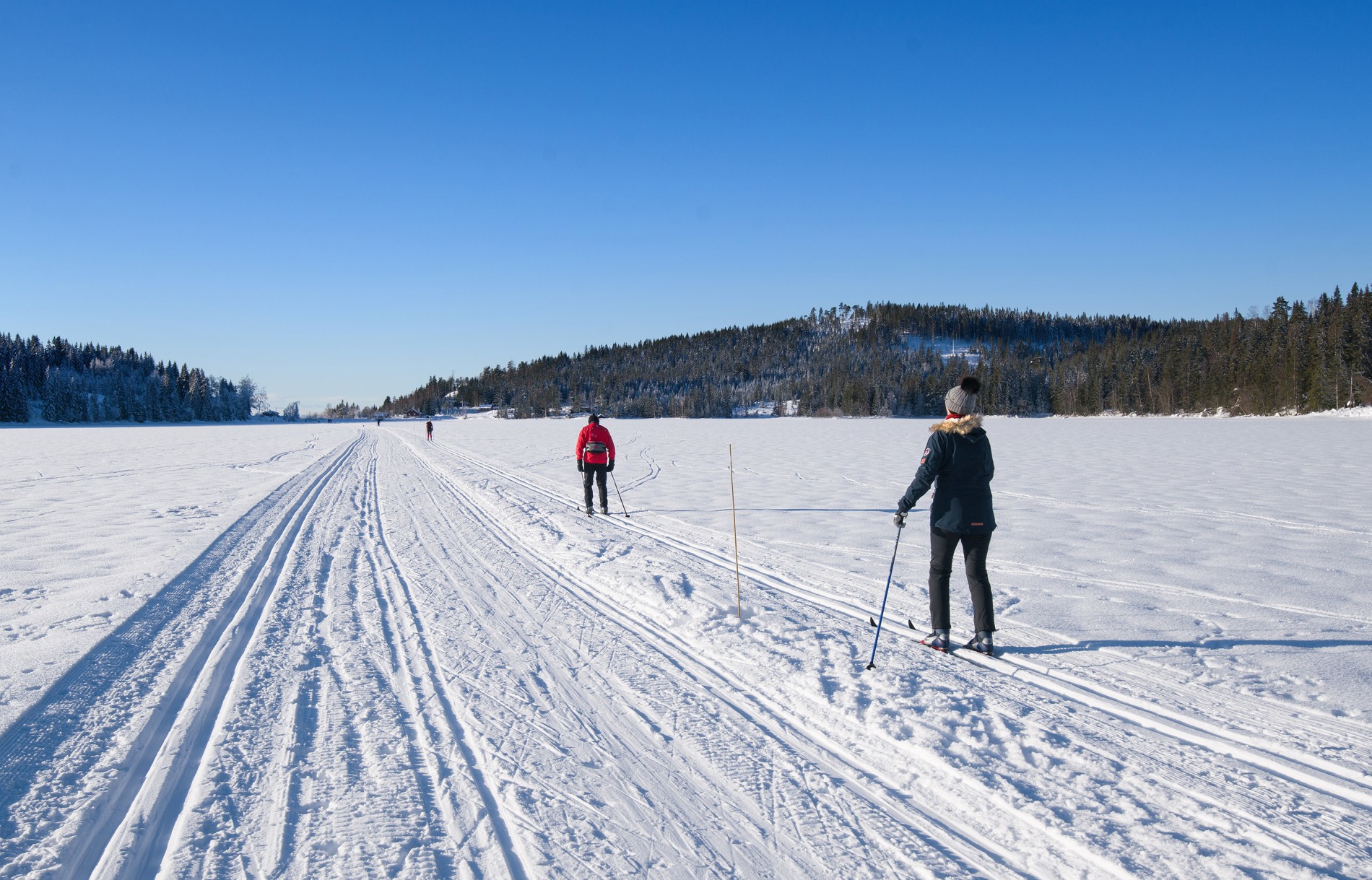 Skyfritt over Damtjern