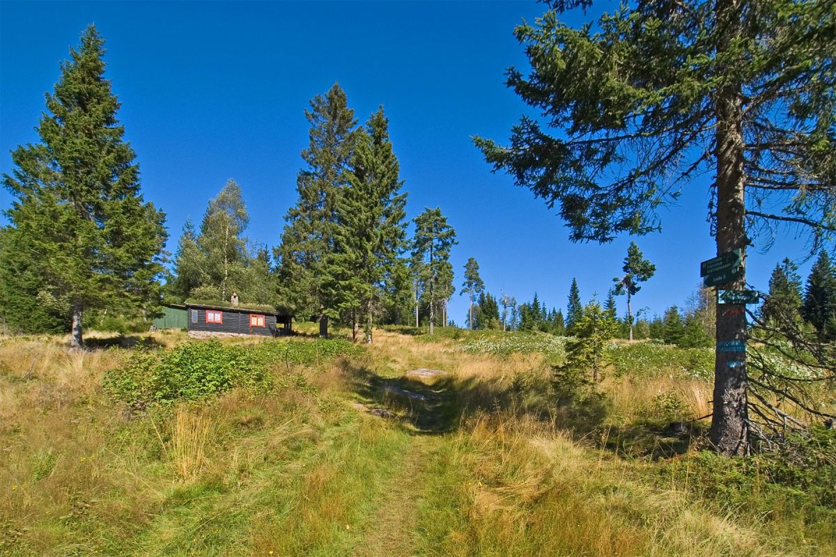 Skyfritt på Fjellsetra