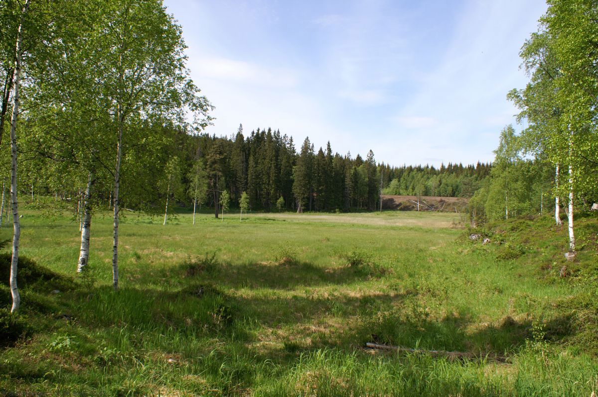 Slåttemyra - Et naturreservat i Marka